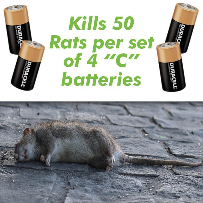 Electronic Rat Trap