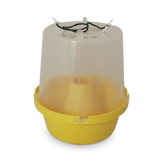 Eradi Wasp Pot