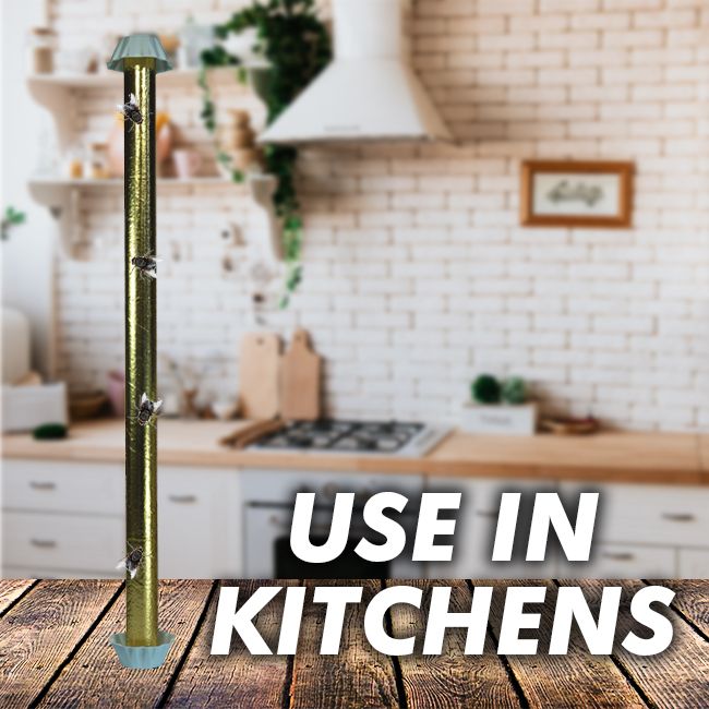 Catchmaster Glue Sticks