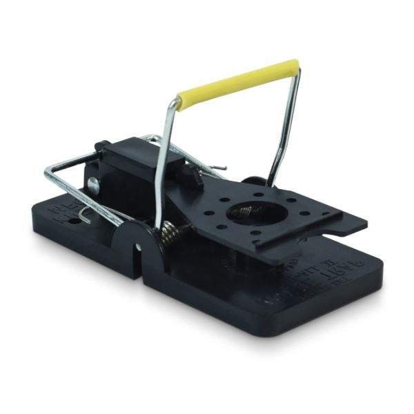 KNESS Snap-e Mouse Trap