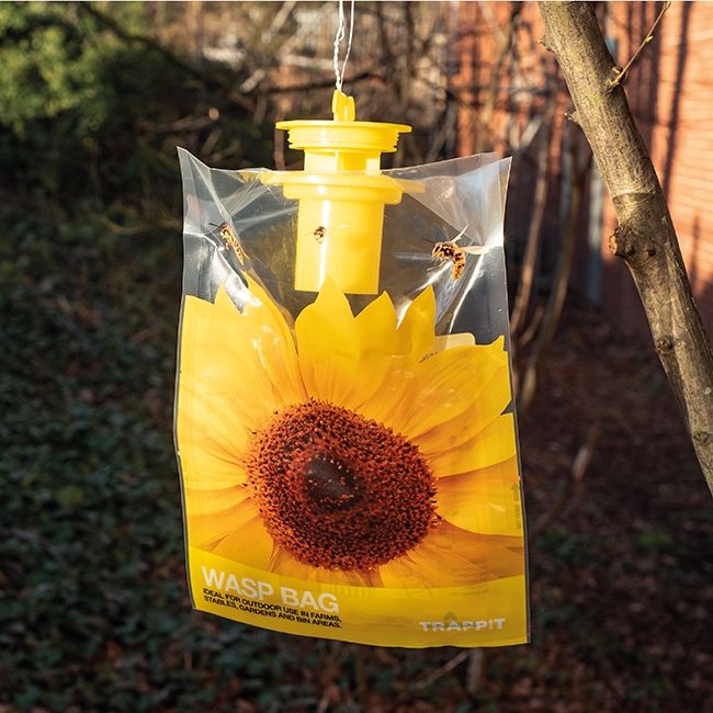 Wasp Bag Disposable