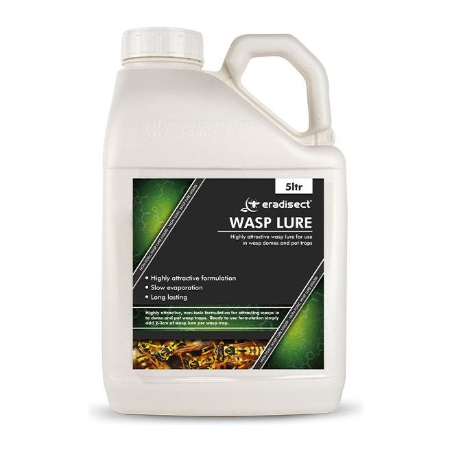 Wasp Lure