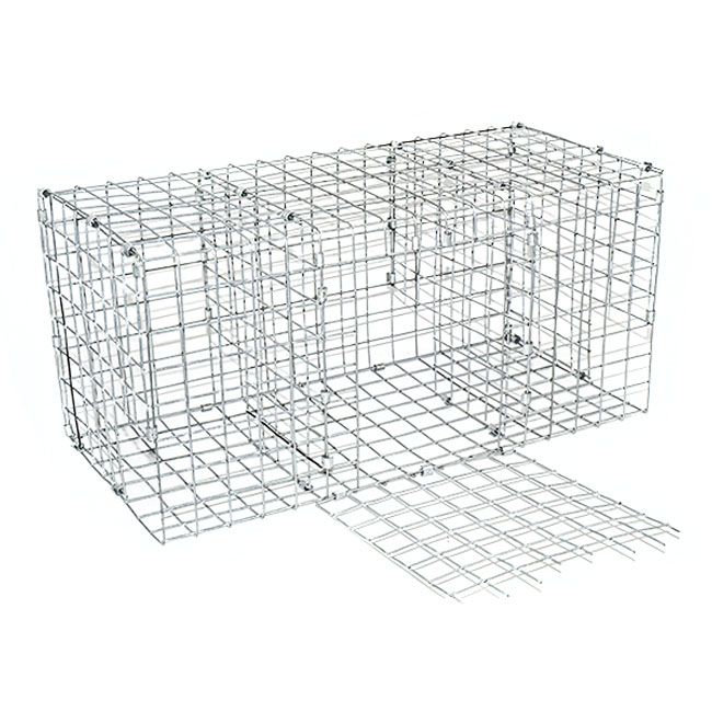 Blackcat Trap Cage