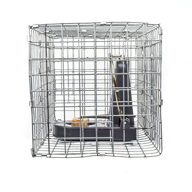 Blackcat Trap Cage