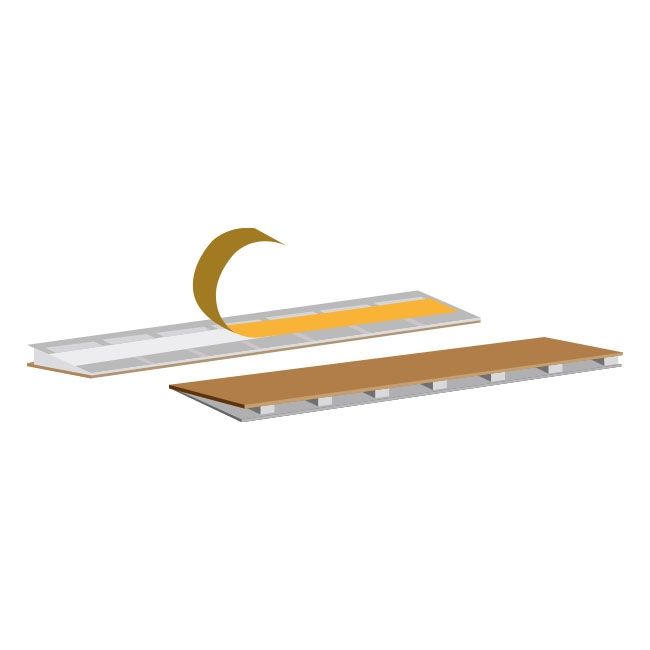 Domobios Bed Bug Trap (pk10)