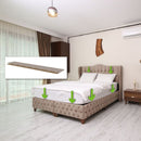 Domobios Bed Bug Trap (pk10)