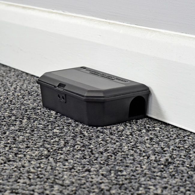 Basic Mouse Box NG Mouse Box