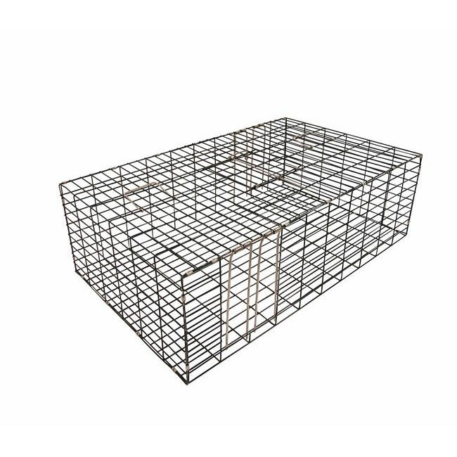 Pigeon Cage Trap