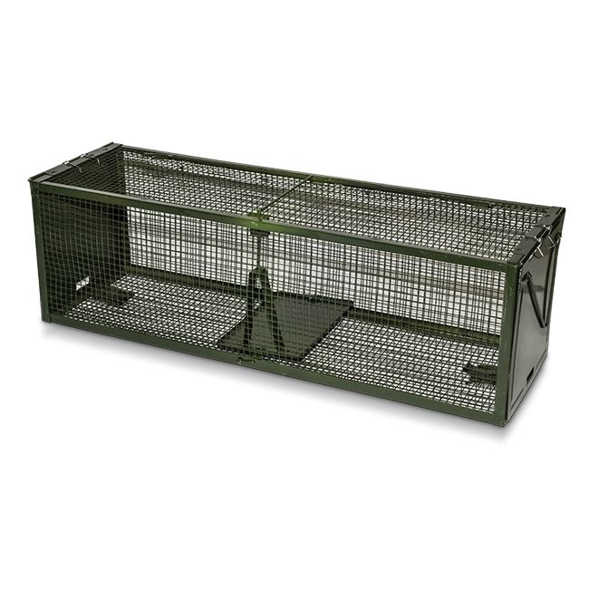 Humane Cage Rat Trap