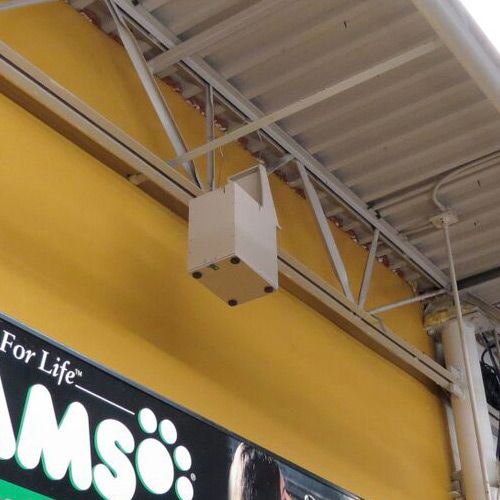 Sparrow Trap Door