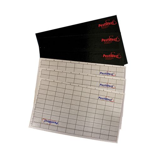 Glueboards